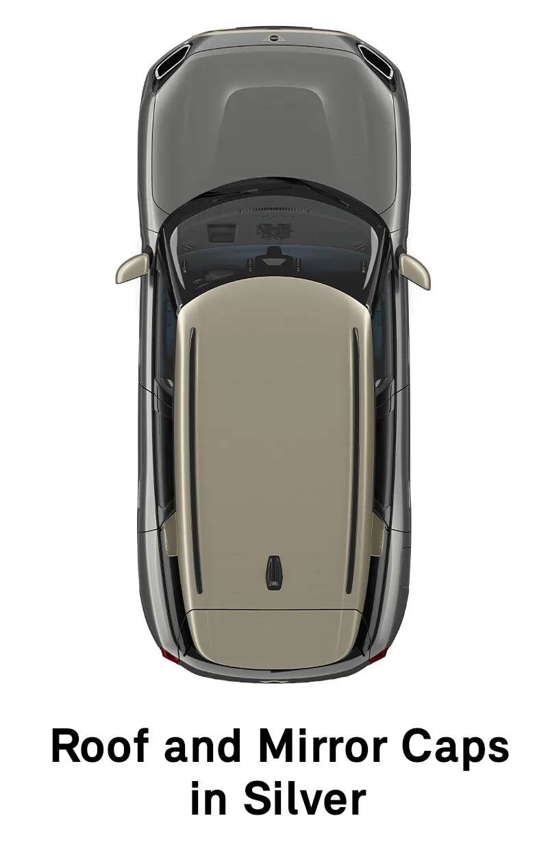  MINI - εξοπλισμός - favoured style οροφή και καλύμματα εξωτερικών καθρεπτών σε ασημί χρώμα