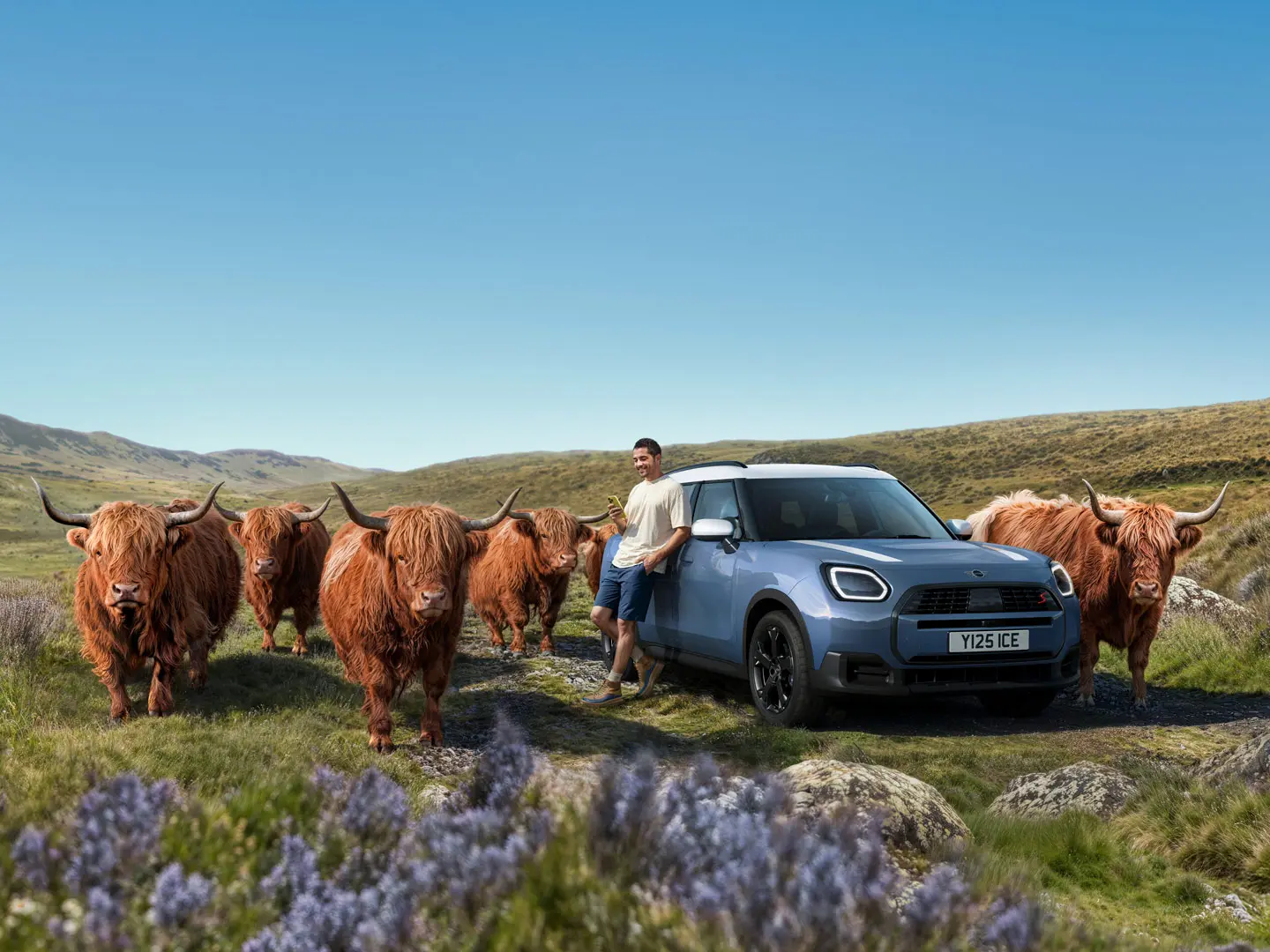 Ένας άνδρας γέρνει χαλαρά στο MINI Countryman S ALL4 του, ενώ περιστοιχίζεται από ταύρους των Χάιλαντς σε τοπίο με λόφους.