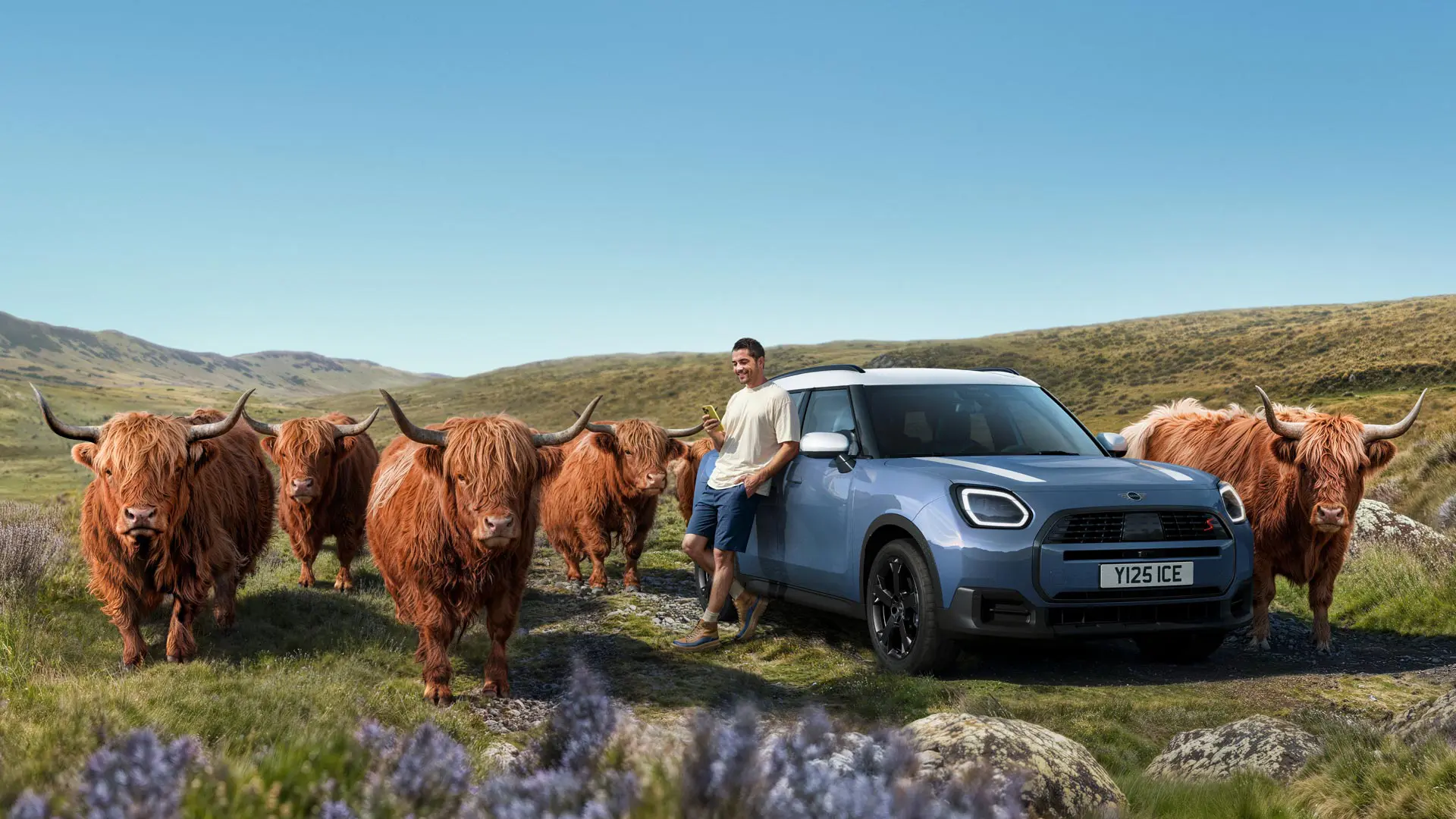 Ένας άνδρας γέρνει χαλαρά στο MINI Countryman S ALL4 του, ενώ περιστοιχίζεται από ταύρους των Χάιλαντς σε τοπίο με λόφους.